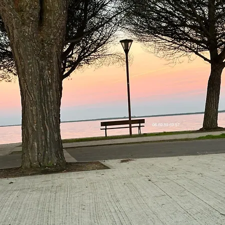 アパート Les Pieds Dans L Eau カルカン