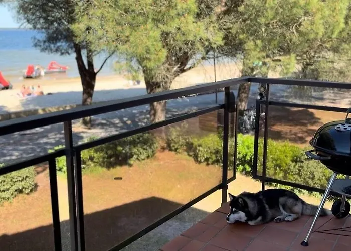 Les Pieds Dans L Eau